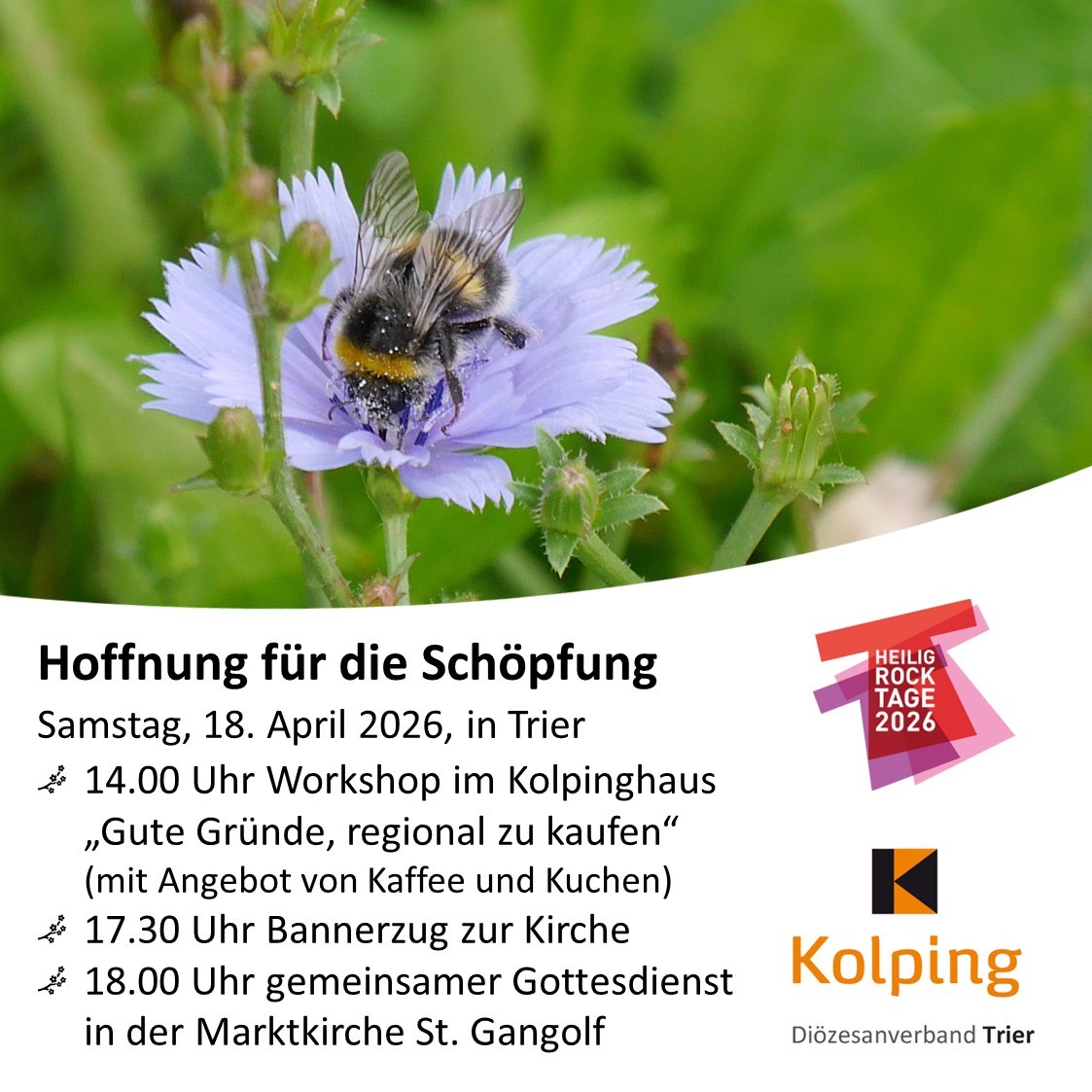 Flyer Hoffnung für die Schöpfung