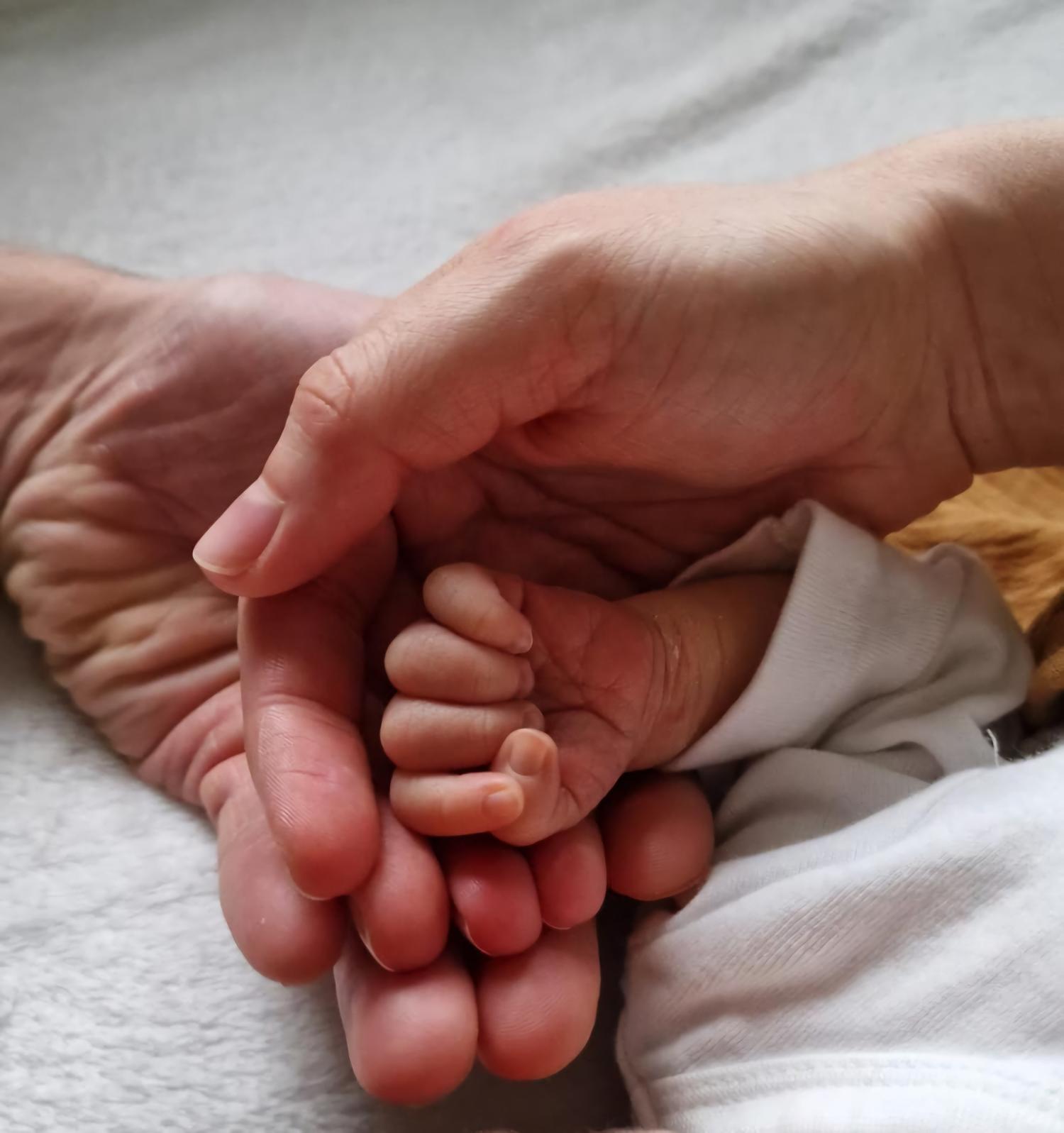 Zwei große Hände halten sanft eine kleine Babyhand, sie liegen auf einem hellen Untergrund.