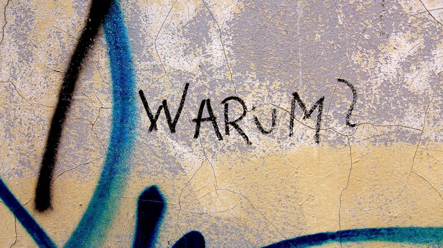 Auf einer verwitterten Wand steht in schwarzer Schrift das Wort „WARUM?“, umgeben von blauer Graffiti-Farbe.