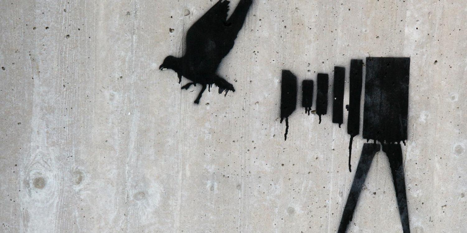 Ein schwarzes Graffiti zeigt einen Vogel und eine stilisierte Kamera auf einer Betonwand.