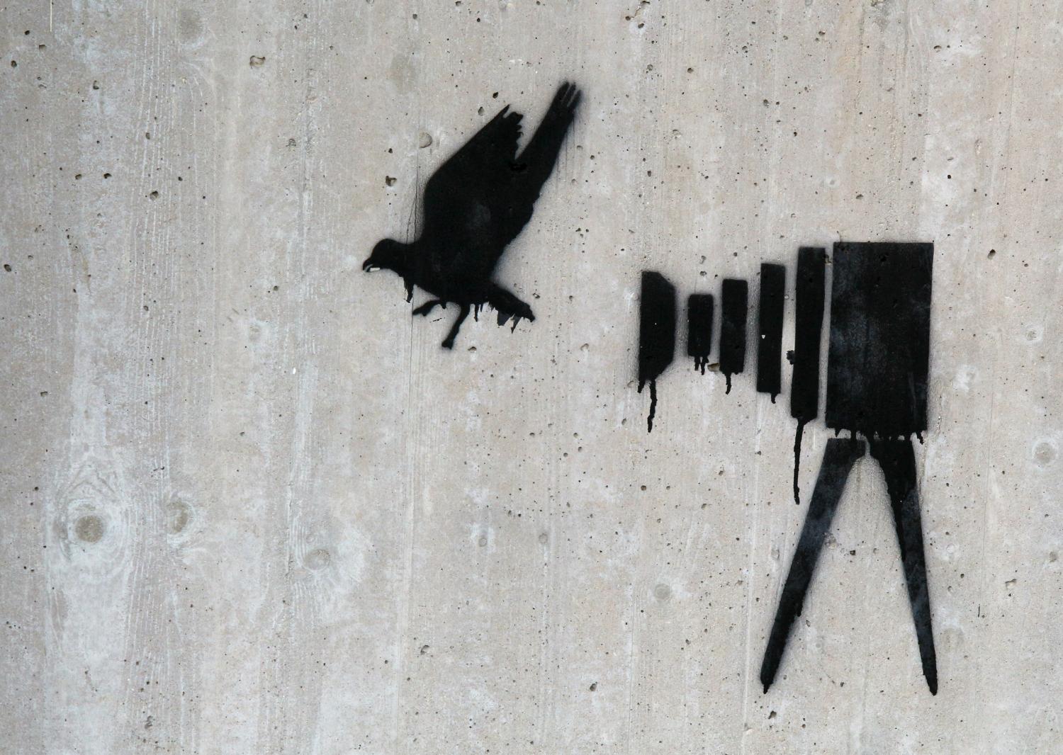 Ein schwarzes Graffiti zeigt einen Vogel und eine stilisierte Kamera auf einer Betonwand.