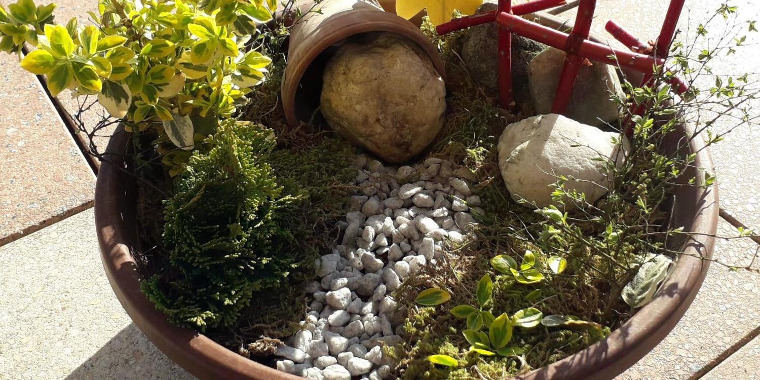 Blumentopf mit kleinen Pflanzen, Steinen, Moos und rotem Mini-Zaun auf Terrasse.