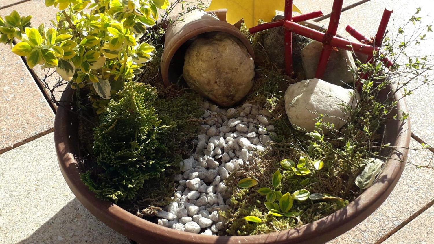 Blumentopf mit kleinen Pflanzen, Steinen, Moos und rotem Mini-Zaun auf Terrasse.