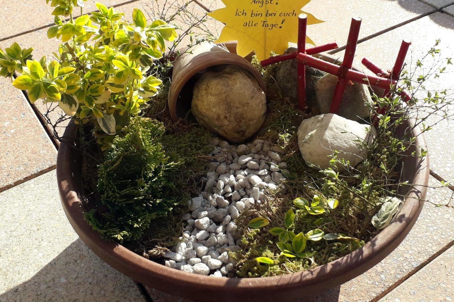 Blumentopf mit kleinen Pflanzen, Steinen, Moos und rotem Mini-Zaun auf Terrasse.
