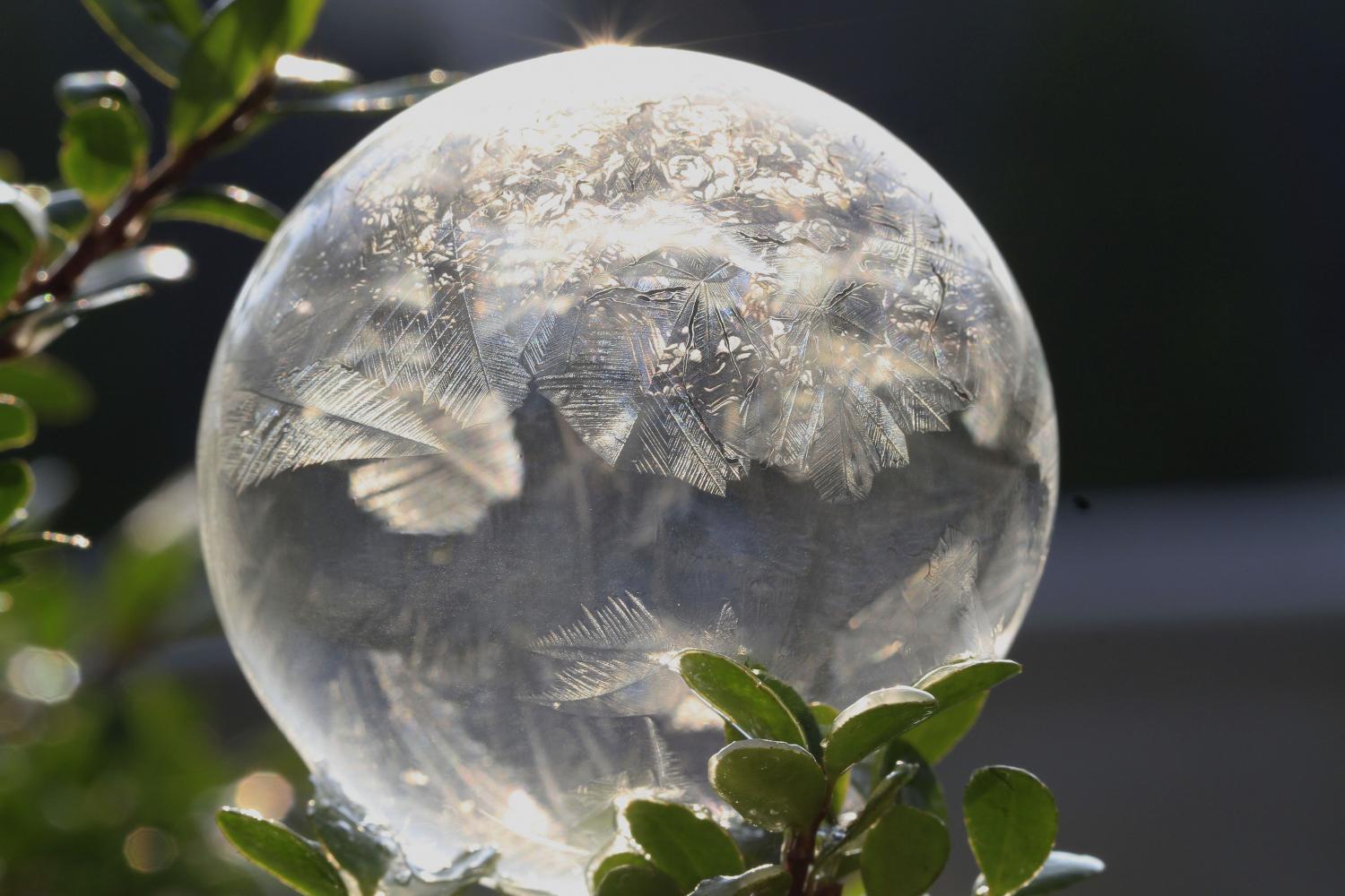 Klare Glaskugel mit gefrorenen Eiskristallmustern im Sonnenlicht, umgeben von grünen Blättern.