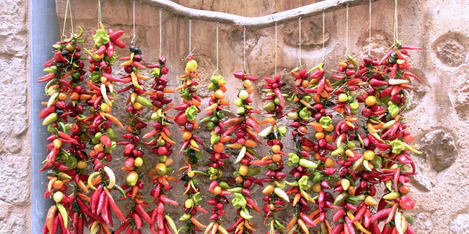 Bunte Chilischoten hängen aufgereiht vor einer Steinwand.