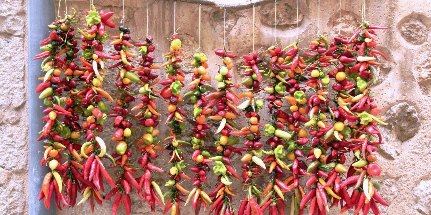 Bunte Chilischoten hängen aufgereiht vor einer Steinwand.