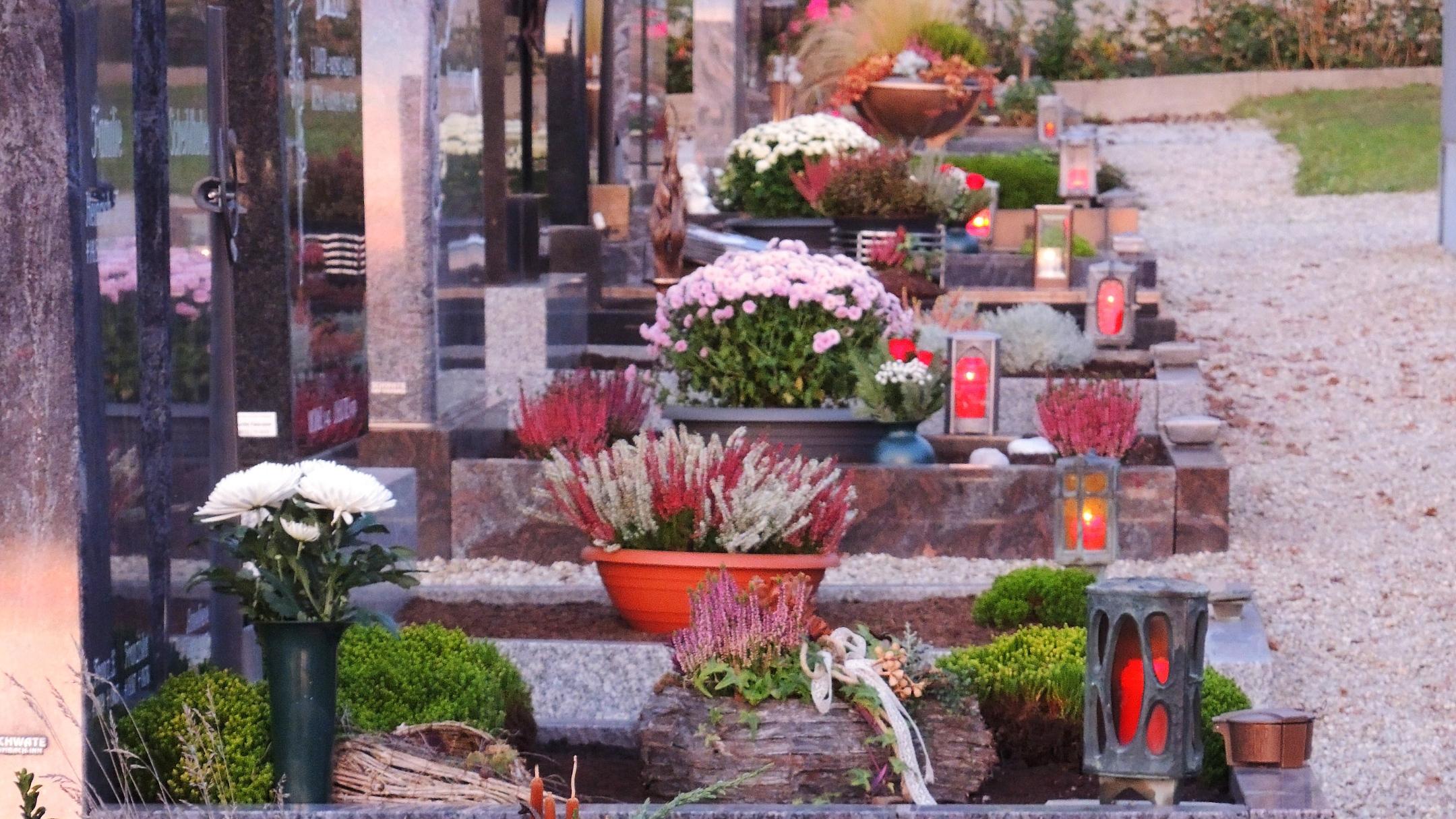 Das Bild zeigt einen Friedhof mit mehreren Gräbern, die liebevoll mit Blumen, Pflanzen und Laternen geschmückt sind.