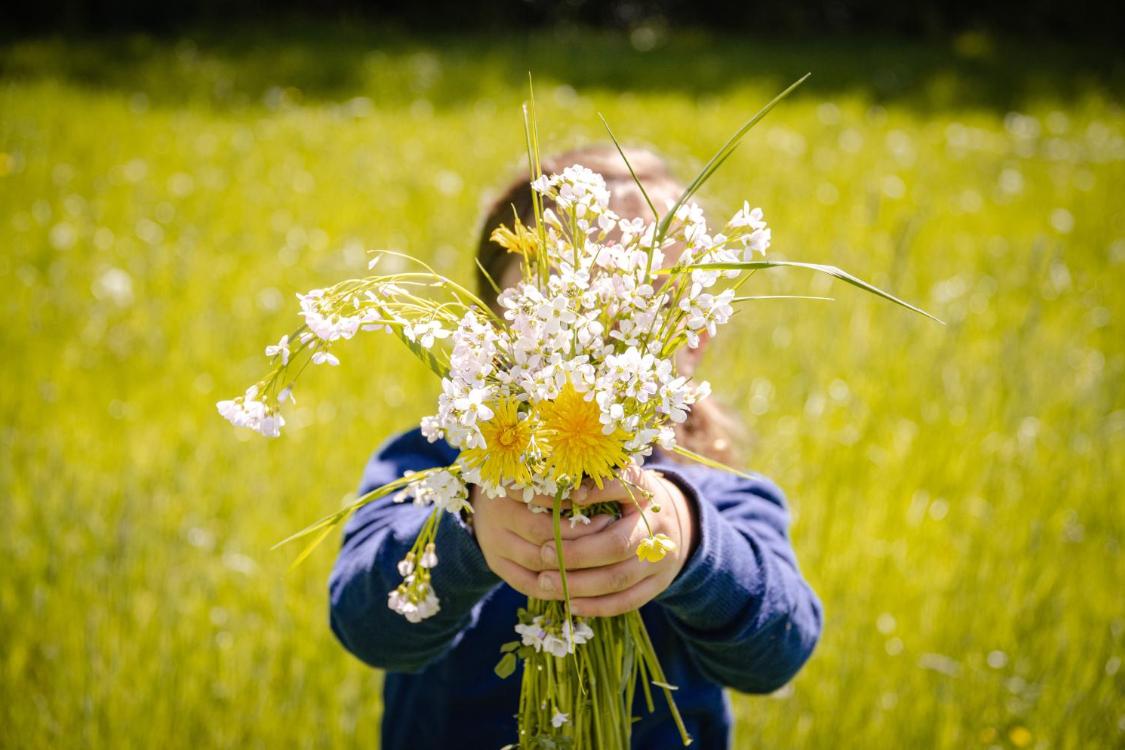Kind hält Strauß aus Wiesenblumen auf einer sonnigen Wiese.