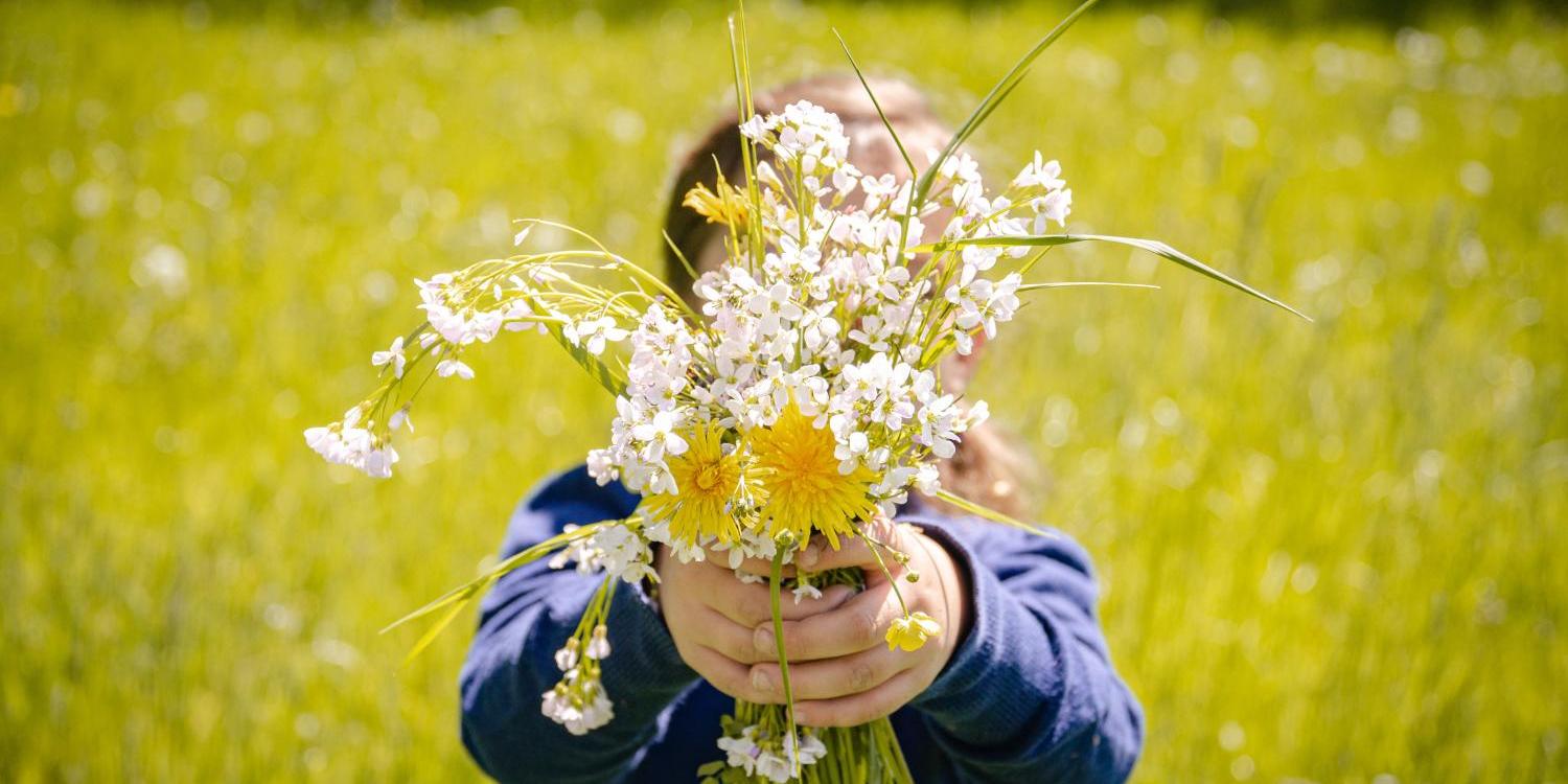 Kind hält Strauß aus Wiesenblumen auf einer sonnigen Wiese.