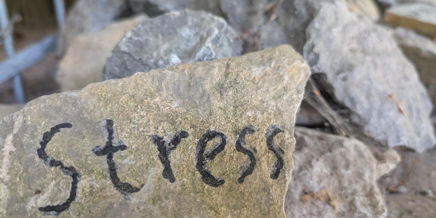Stein mit dem Wort 'Stress' darauf, im Vordergrund, weitere Steine im Hintergrund.