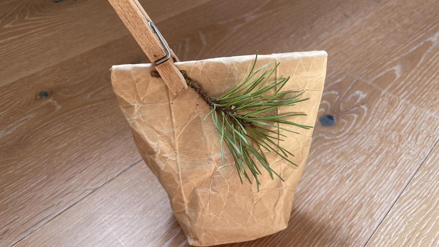 Braune Papiertüte mit Tannenzweig und Holzklammer auf Holzboden.