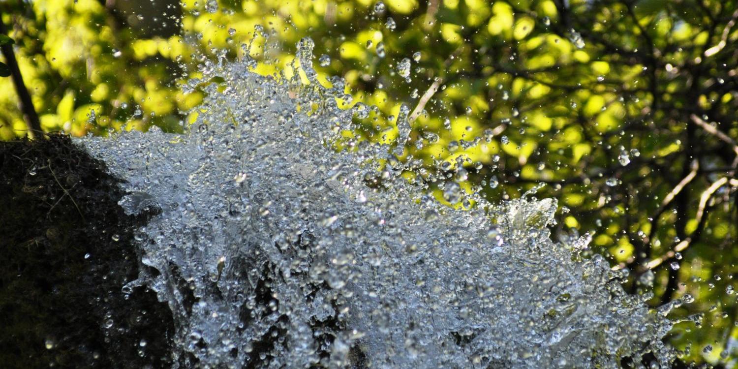 Wasser spritzt über einen Felsen im Sonnenlicht, grüner Wald im Hintergrund