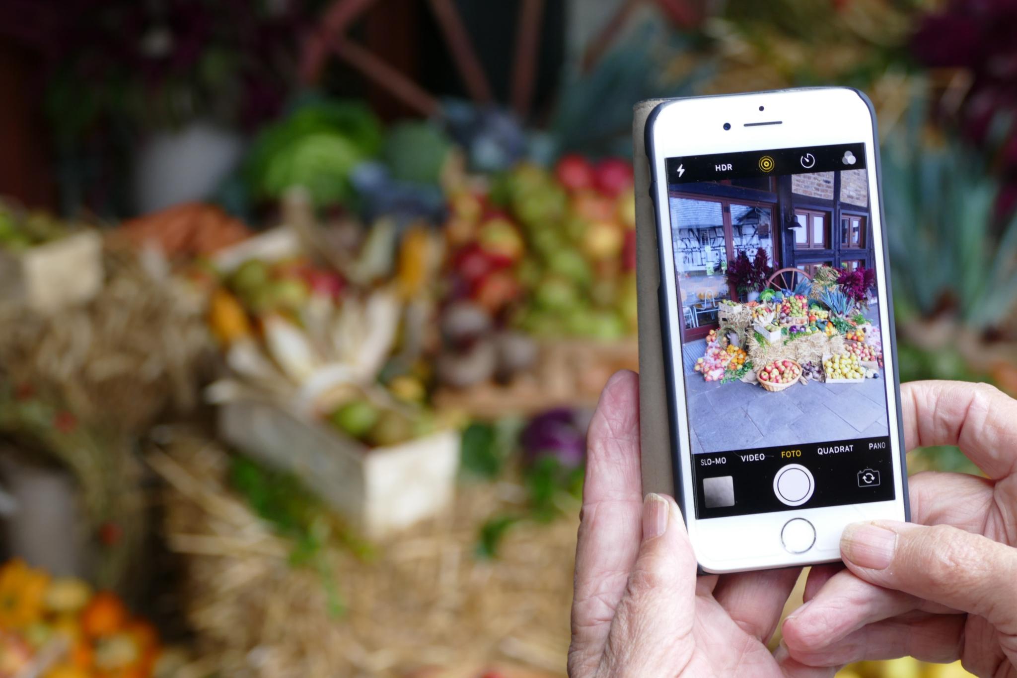 Eine ältere Person hält ein Smartphone in den Händen und fotografiert einen bunt dekorierten Obst- und Gemüsestand, der mit Strohballen und Holzkisten im Hintergrund arrangiert ist.