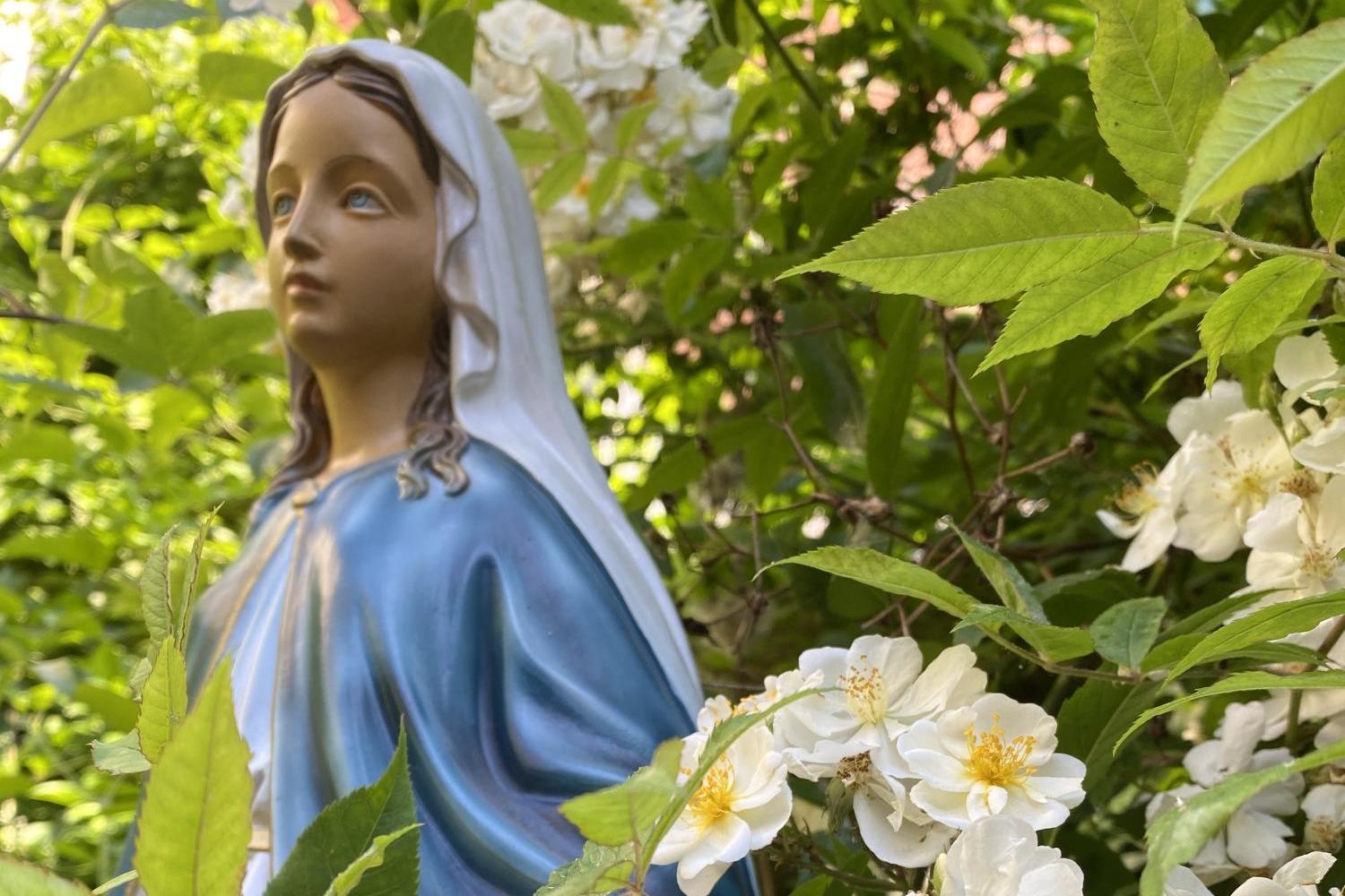 Marienstatue im Garten, umgeben von weißen Blüten und grünem Laub