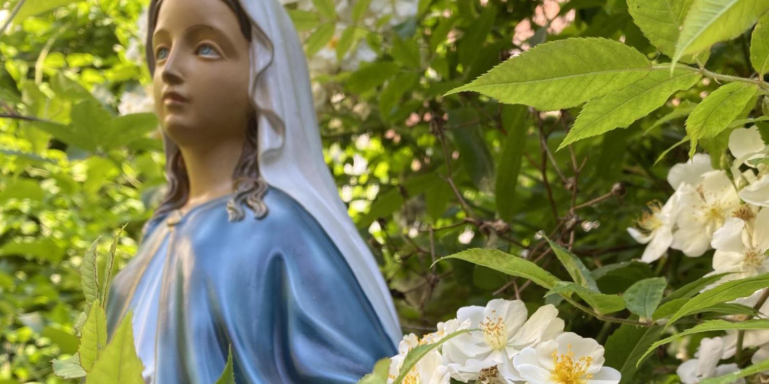 Marienstatue im Garten, umgeben von weißen Blüten und grünem Laub