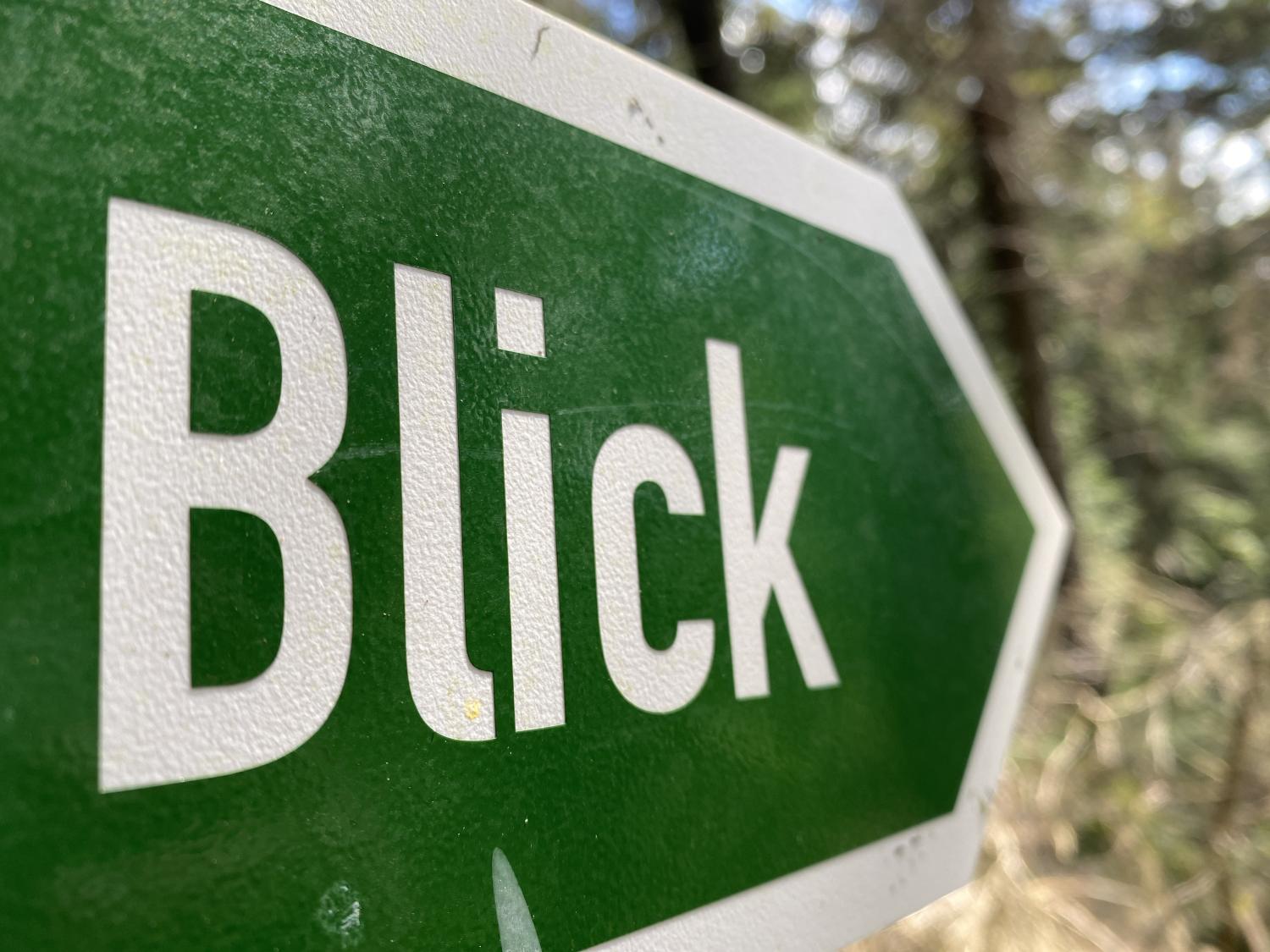 Das Bild zeigt ein grünes Schild in Pfeilform mit weißem Rand und dem weißen Schriftzug „Blick“ vor unscharfem Waldhintergrund.