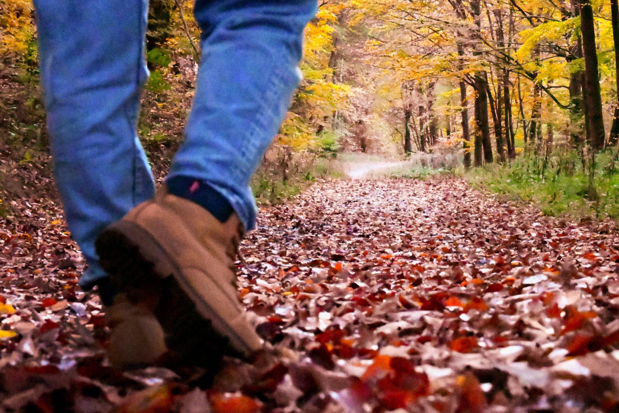Eine Person geht auf einem herbstlichen Waldweg, der mit bunten Blättern bedeckt ist. Man sieht nur ihre Beine in Jeans und braunen Wanderschuhen. Die Bäume rundherum tragen gelbes und oranges Laub.