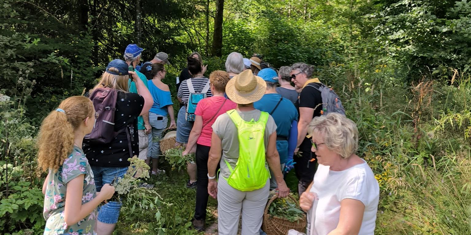 Das Foto zeigt eine Gruppe von Menschen, die auf einem schmalen Waldweg wandert. Um sie herum ist dichter, grüner Wald, und Sonnenlicht fällt durch die Bäume.