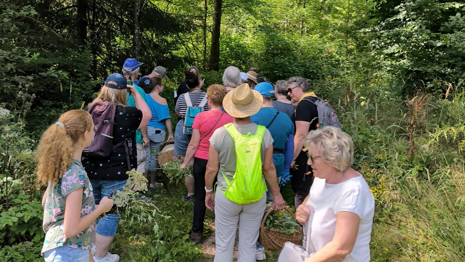 Das Foto zeigt eine Gruppe von Menschen, die auf einem schmalen Waldweg wandert. Um sie herum ist dichter, grüner Wald, und Sonnenlicht fällt durch die Bäume.