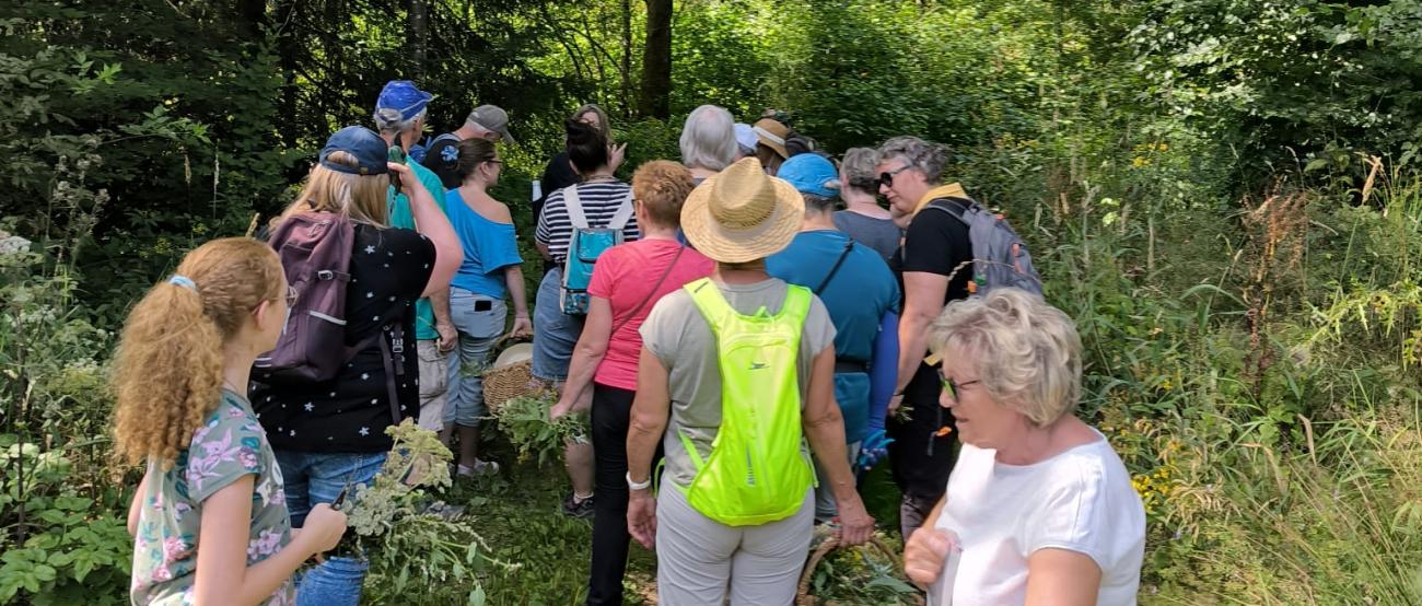 Das Foto zeigt eine Gruppe von Menschen, die auf einem schmalen Waldweg wandert. Um sie herum ist dichter, grüner Wald, und Sonnenlicht fällt durch die Bäume.
