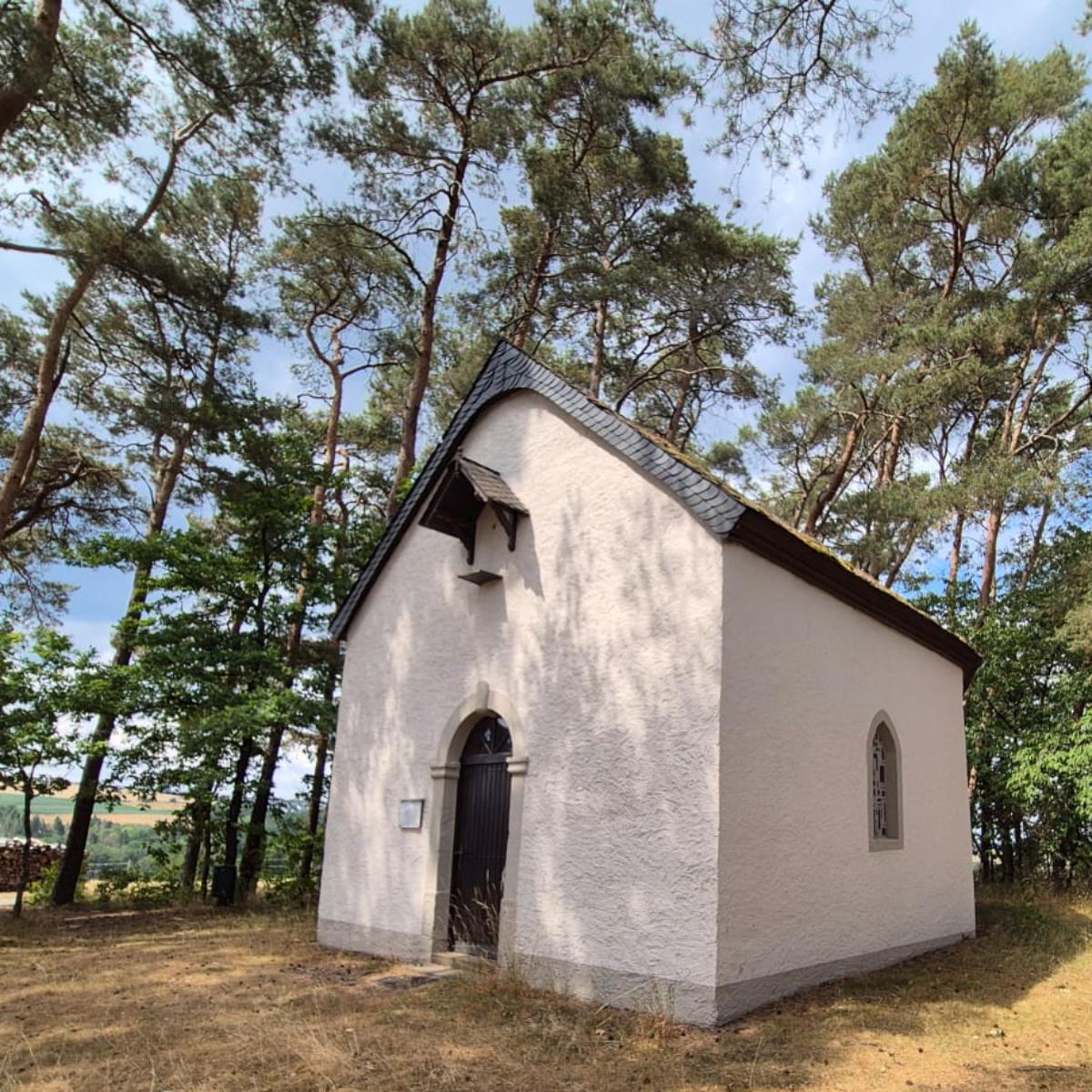 Kleine weiße Kapelle am Waldrand, umgeben von hohen Kiefern.
