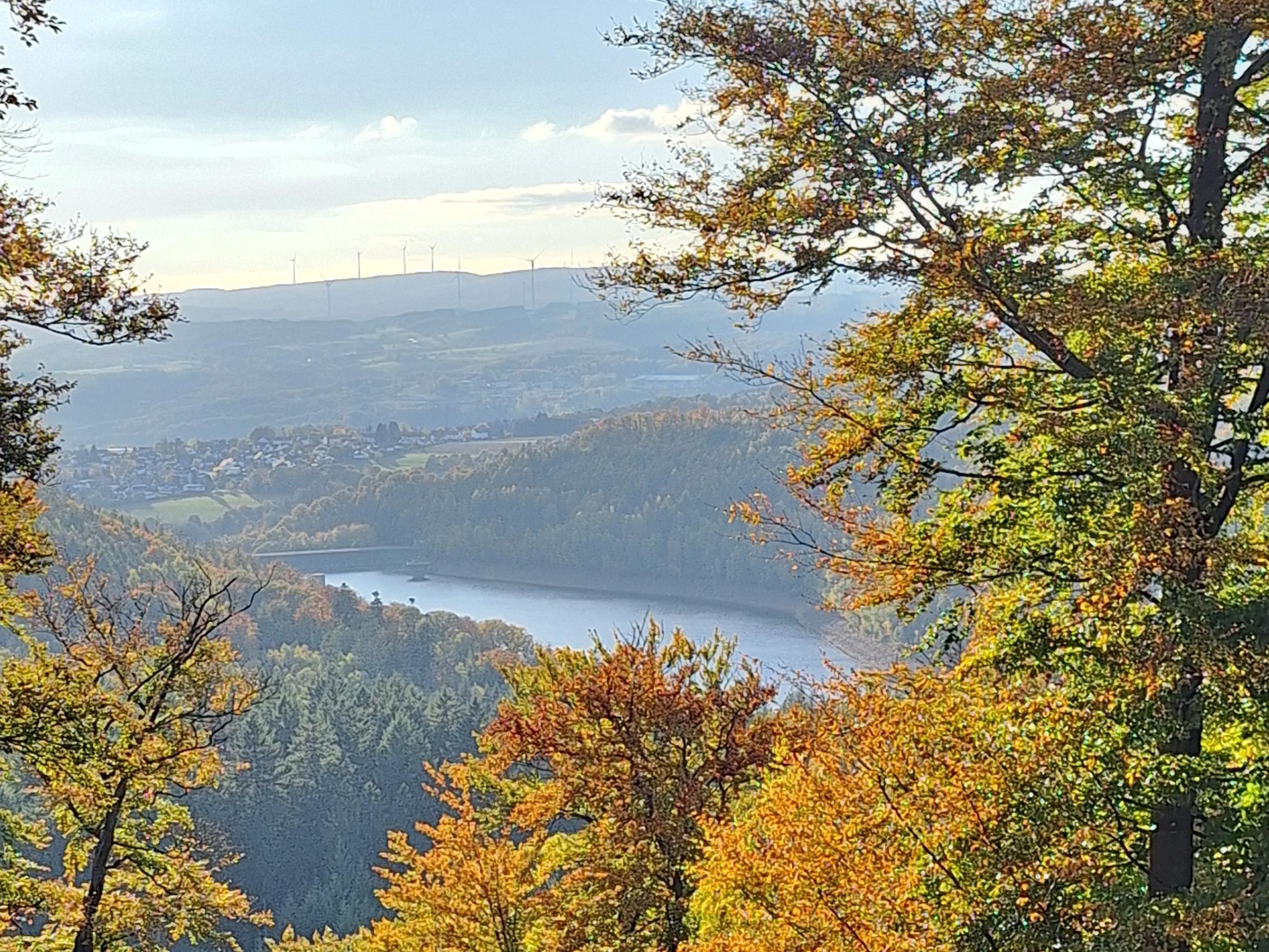 Herbstliche Landschaft mit bunten Bäumen, Blick auf ein Tal mit See.