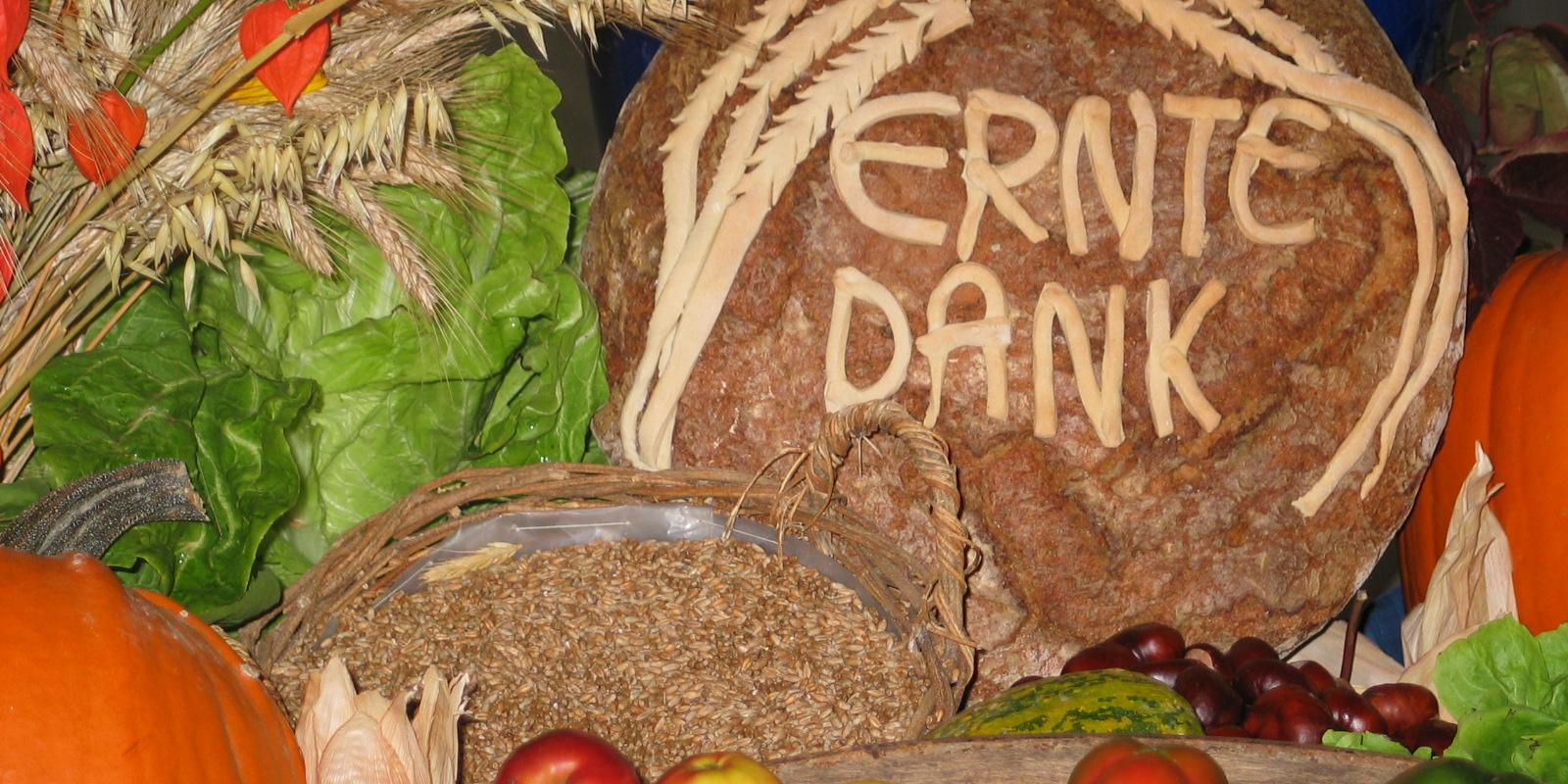 Das Foto zeigt ein kunstvoll arrangiertes Erntedankmotiv mit einem großen runden Brot in der Mitte, auf dem „ERNTE DANK“ steht. Rundherum liegen verschiedene Früchte und Gemüse wie Äpfel, Kürbisse und Paprika, ergänzt durch Getreideähren und Blattgemüse im Hintergrund.