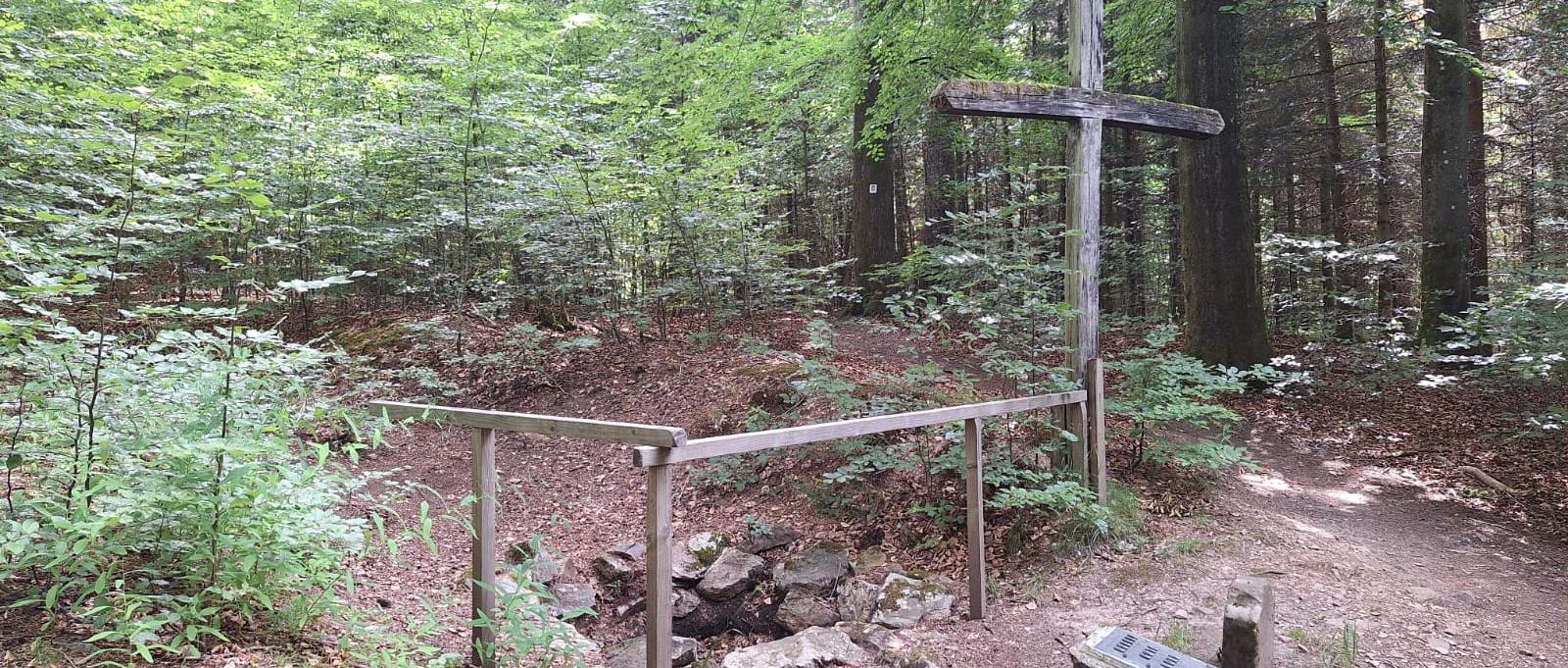 Eine Quelle im Wald die mit einem Holzzaun abgegrenzt ist, daneben steht ein großes Holzkreuz.
