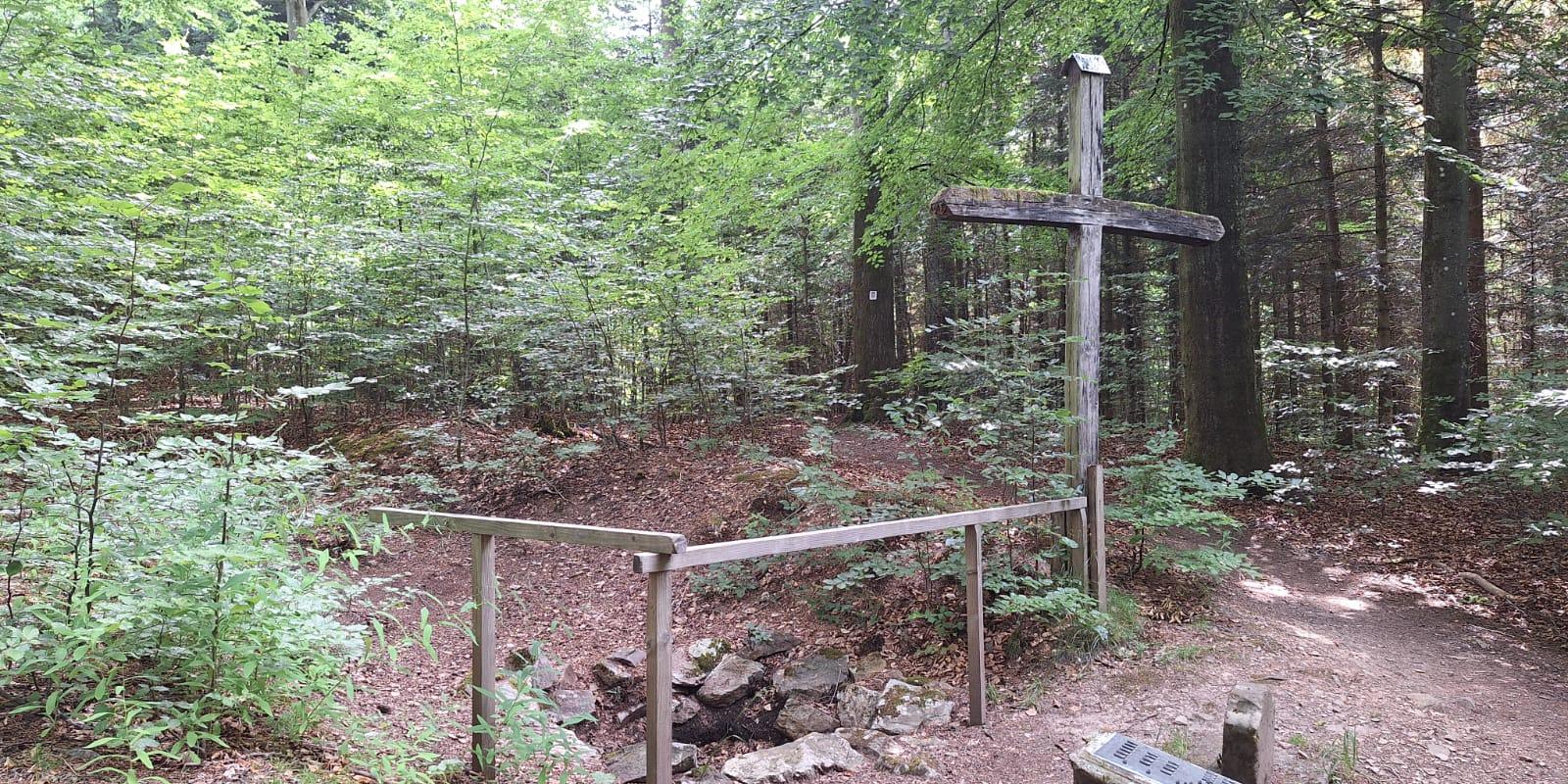 Eine Quelle im Wald die mit einem Holzzaun abgegrenzt ist, daneben steht ein großes Holzkreuz. (c) Silvia Scherer Eine Quelle im Wald die mit einem Holzzaun abgegrenzt ist, daneben steht ein großes Holzkreuz.