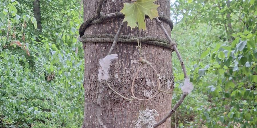 Ein aus Federn, Söckchen und Flechten gebastelter Traumfänger hängt an einem Baum.