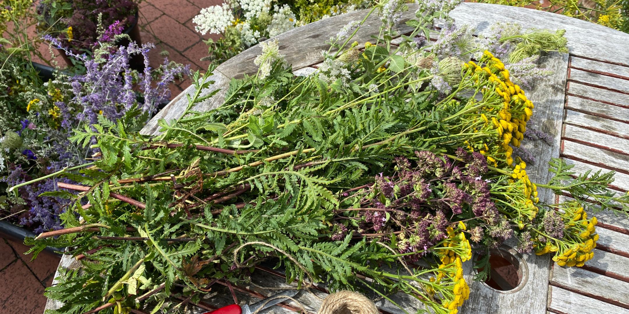 Ein bunter Mix an Kräutern liegt auf einem Tisch