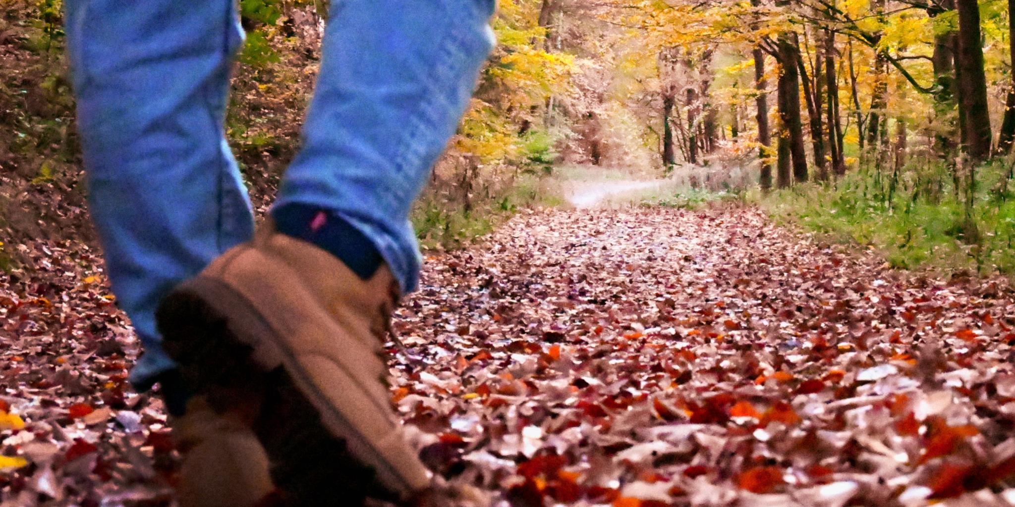 Eine Person geht auf einem herbstlichen Waldweg, der mit bunten Blättern bedeckt ist. Man sieht nur ihre Beine in Jeans und braunen Wanderschuhen. Die Bäume rundherum tragen gelbes und oranges Laub.